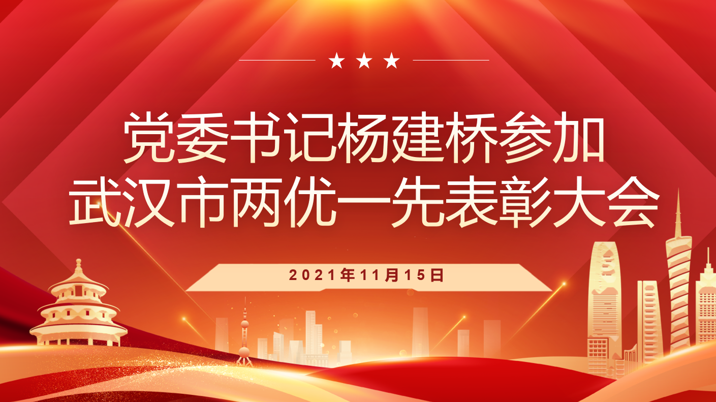党委书记杨建桥参加武汉市两优一先表彰大会
