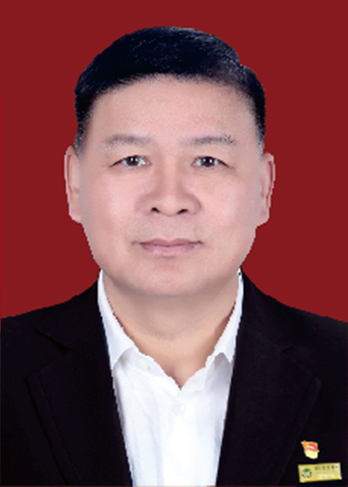 集团党委：杨海兵