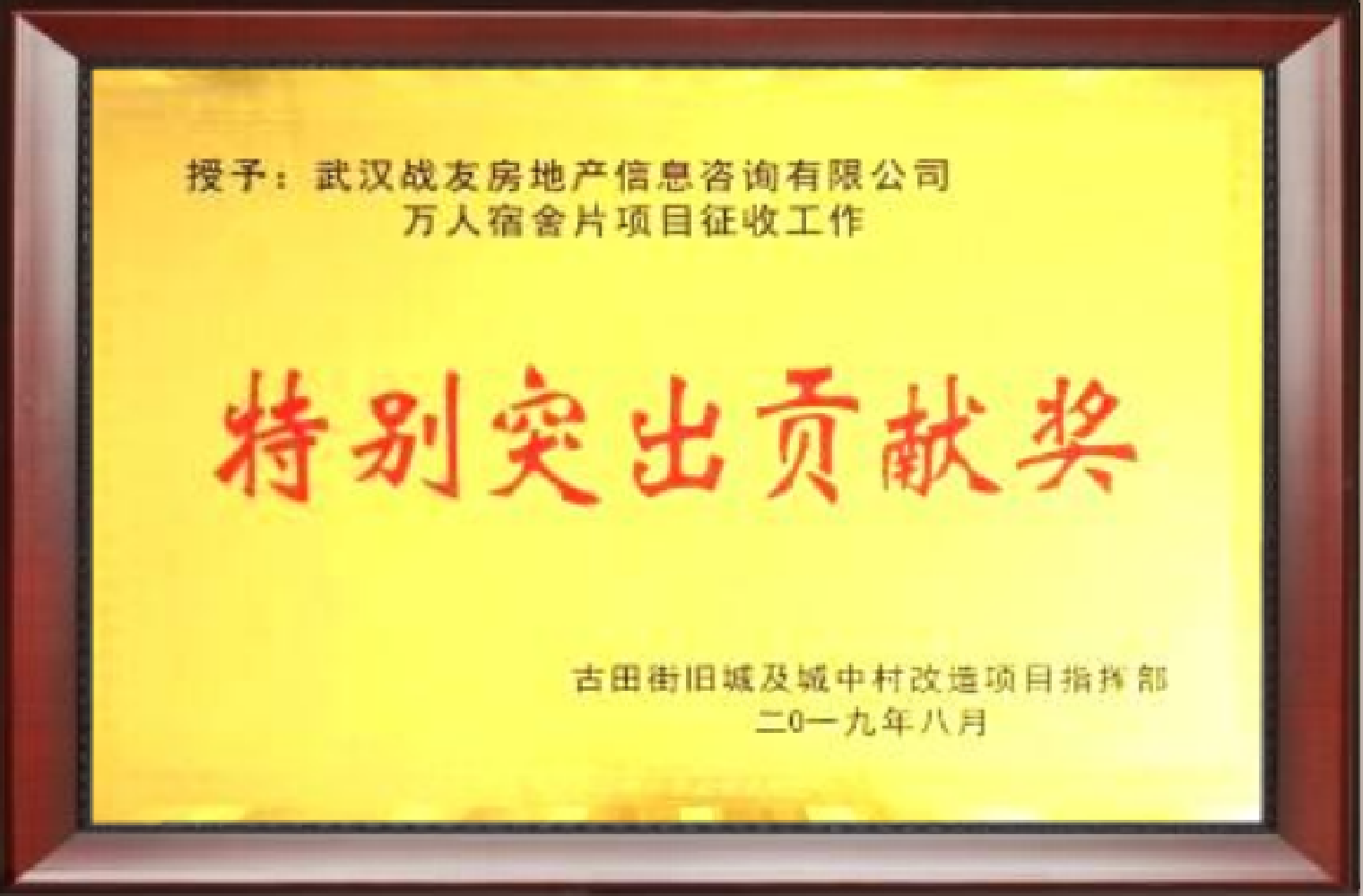 特别突出贡献奖